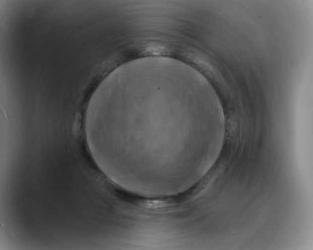 X0000088750361200706282210