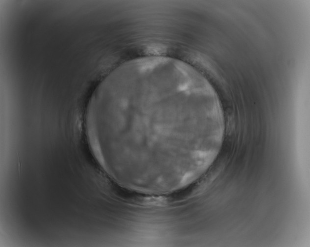 X0000088750363200706282210