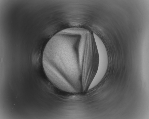 X0000088750364200706282210