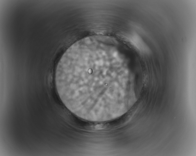 X0000088750365200706282210