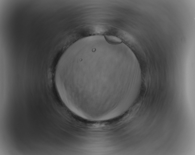 X0000088750366200706282210