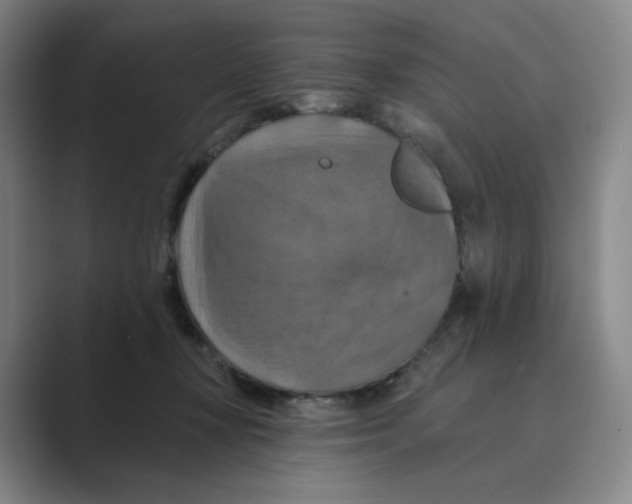 X0000088750367200706282210