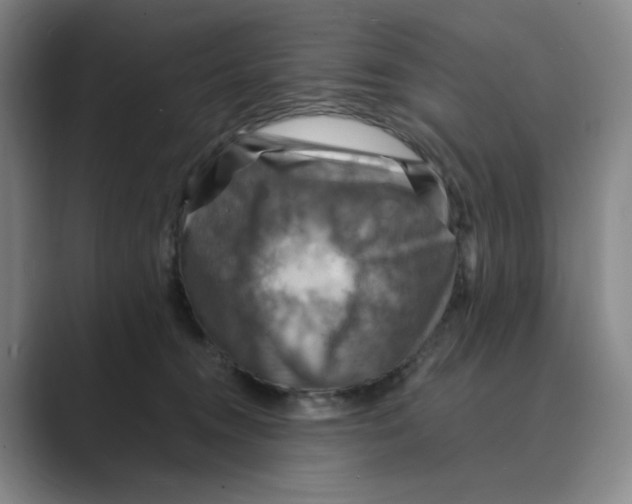 X0000088750372200706282210