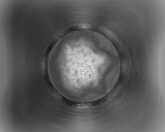 X0000088750373200706282210