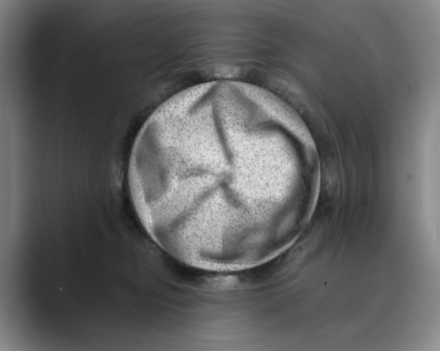 X0000088750374200706282210