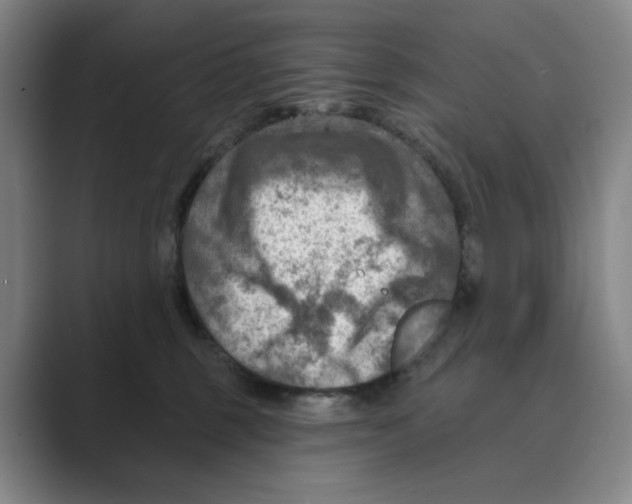 X0000088750375200706282210