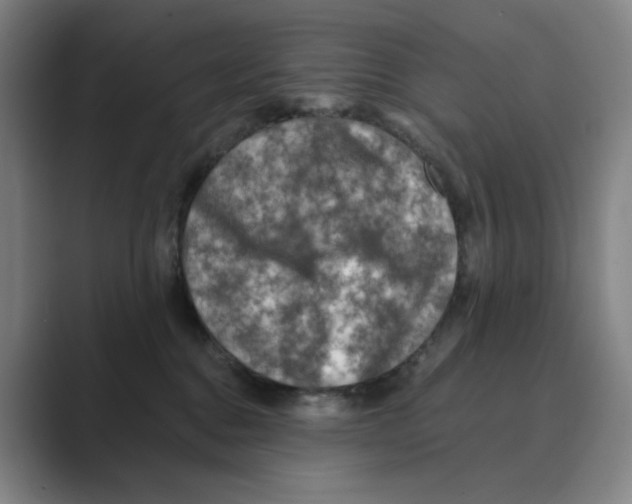 X0000088750376200706282210