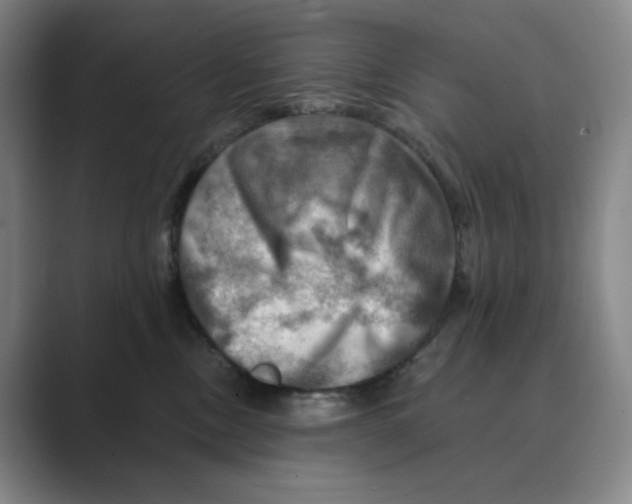 X0000088750378200706282210