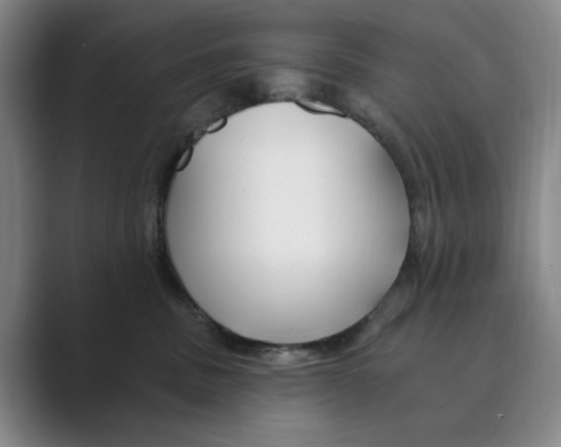 X0000088750379200706282210