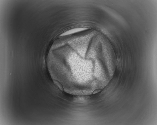 X0000088750381200706282210