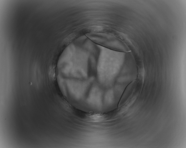 X0000088750383200706282210