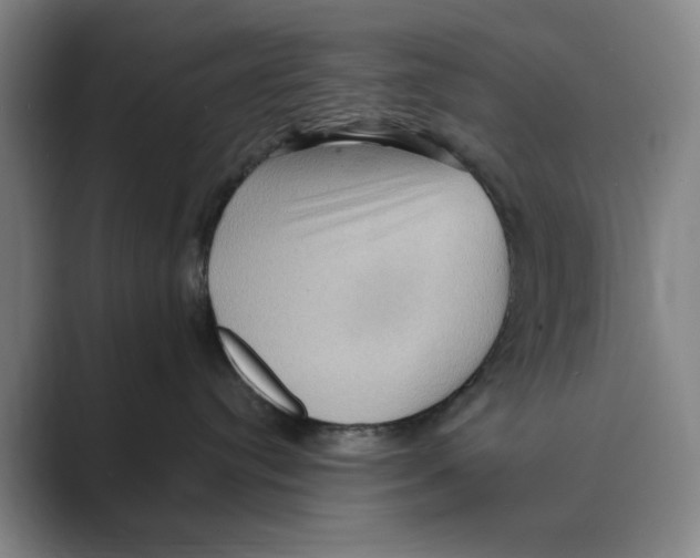 X0000088750384200706282210