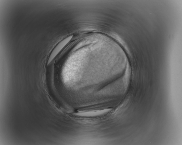 X0000088750385200706282209