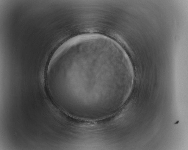 X0000088750386200706282209