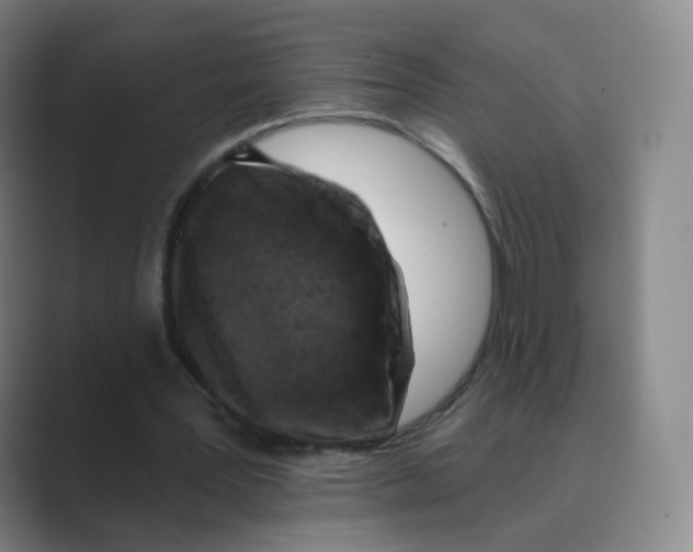 X0000088750387200706282209