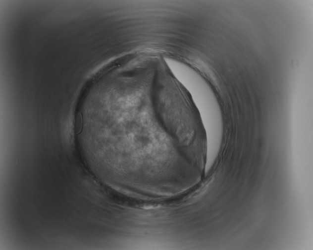 X0000088750388200706282209