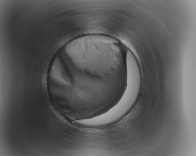 X0000088750389200706282209