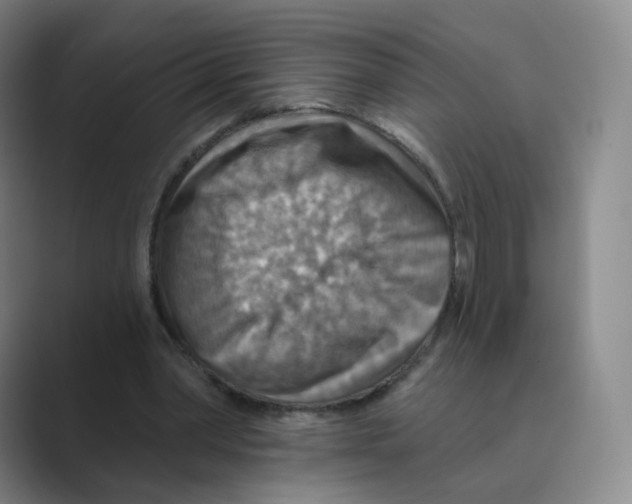 X0000088750390200706282209