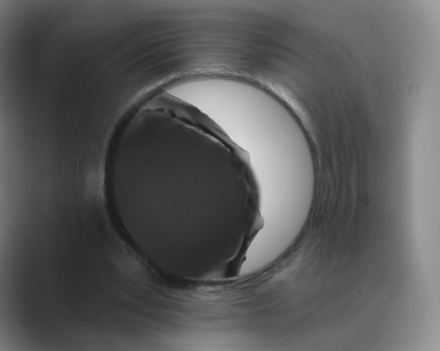 X0000088750391200706282209