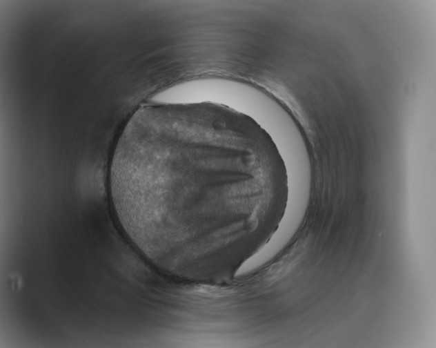 X0000088750393200706282209