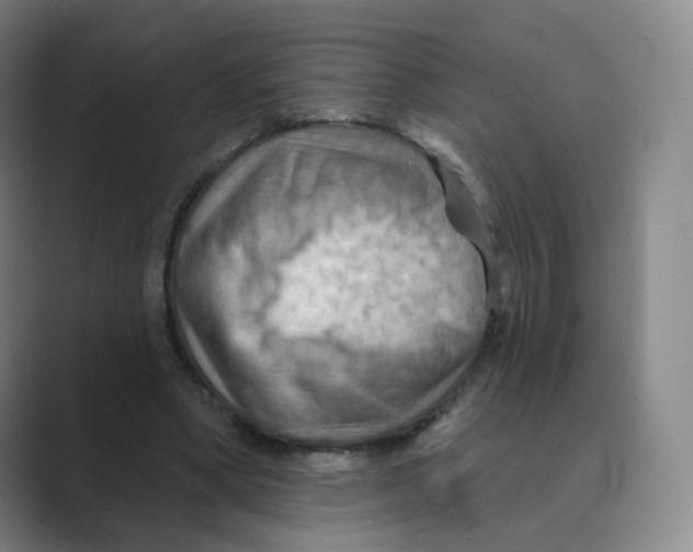 X0000088750394200706282209