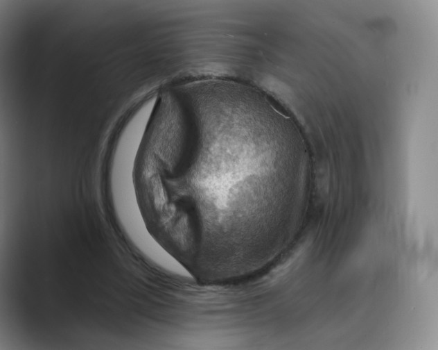 X0000088750395200706282209