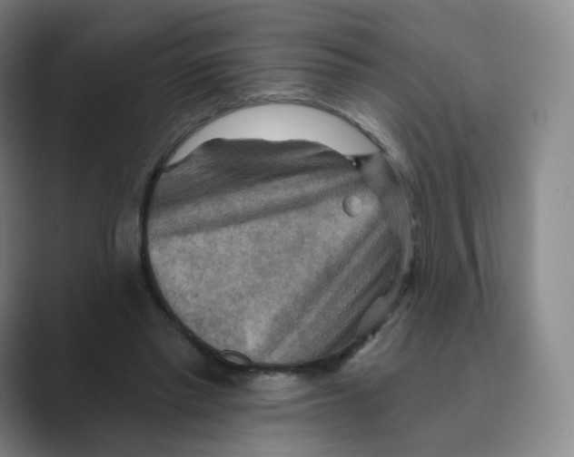 X0000088750397200706282209