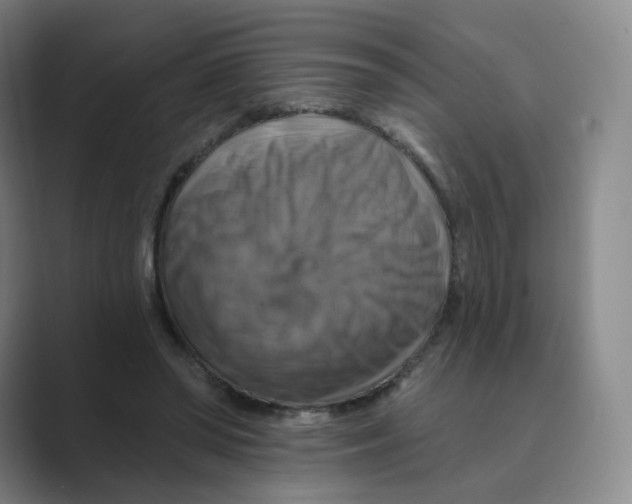 X0000088750398200706282209