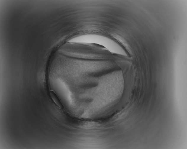 X0000088750399200706282209