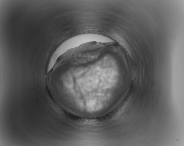 X0000088750401200706282209