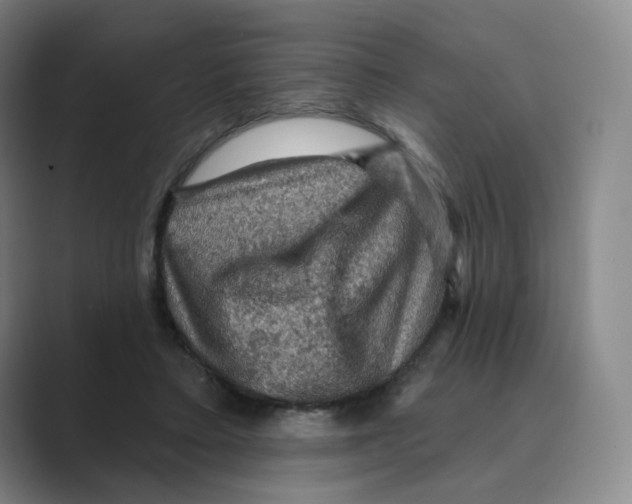 X0000088750403200706282209