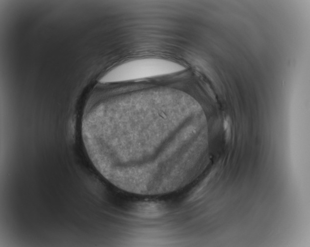 X0000088750404200706282209