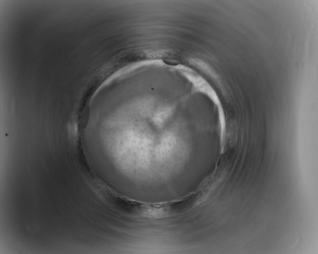 X0000088750405200706282209