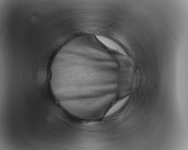 X0000088750407200706282209