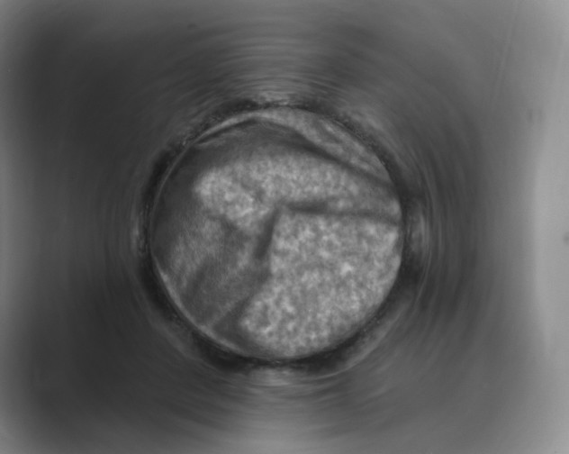 X0000088750408200706282209