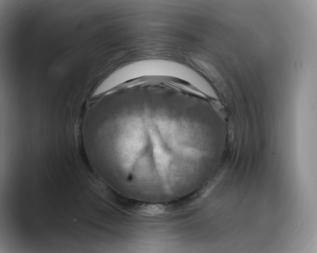 X0000088750409200706282209