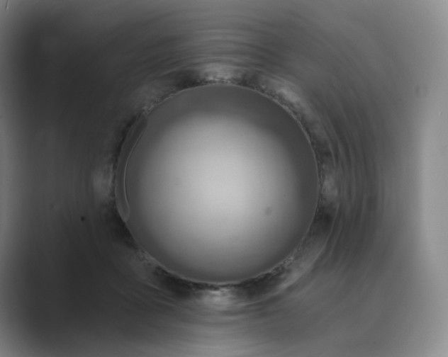 X0000088750411200706282209