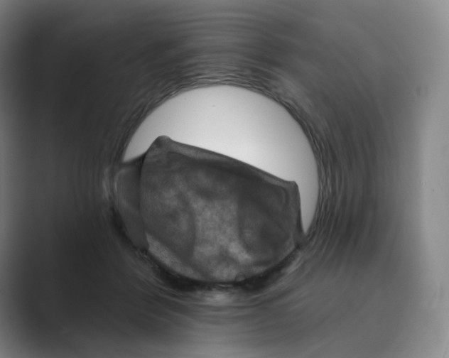 X0000088750412200706282209