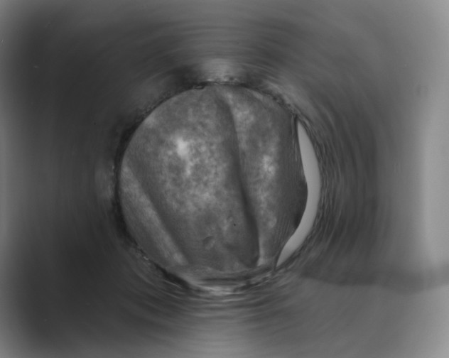 X0000088750413200706282209