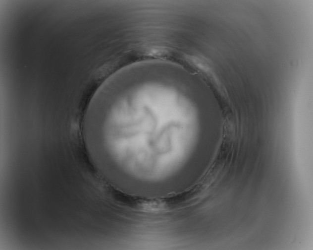 X0000088750415200706282209