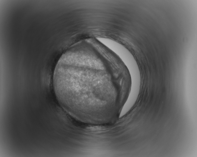 X0000088750417200706282209