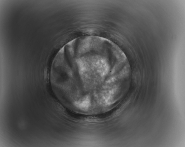 X0000088750420200706282209