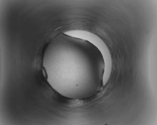 X0000088750421200706282209