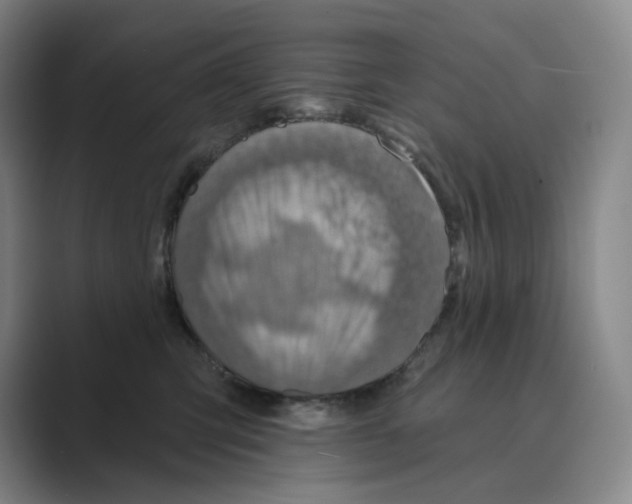 X0000088750423200706282209