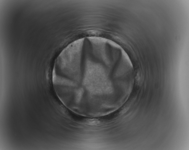 X0000088750424200706282209