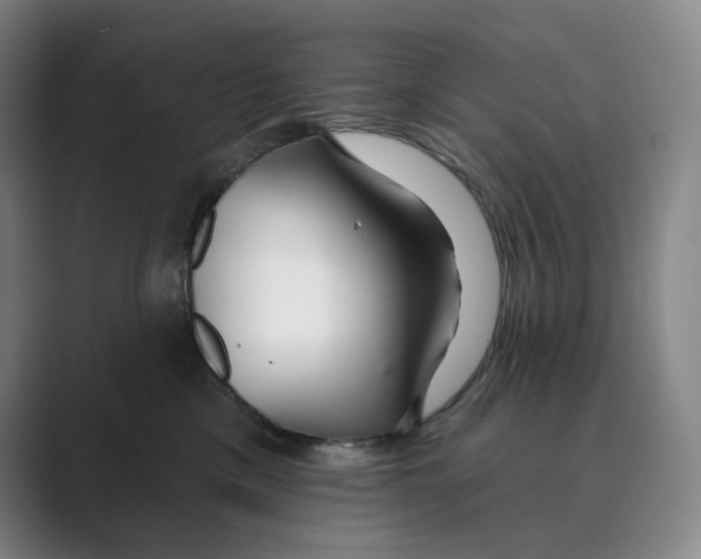 X0000088750425200706282209