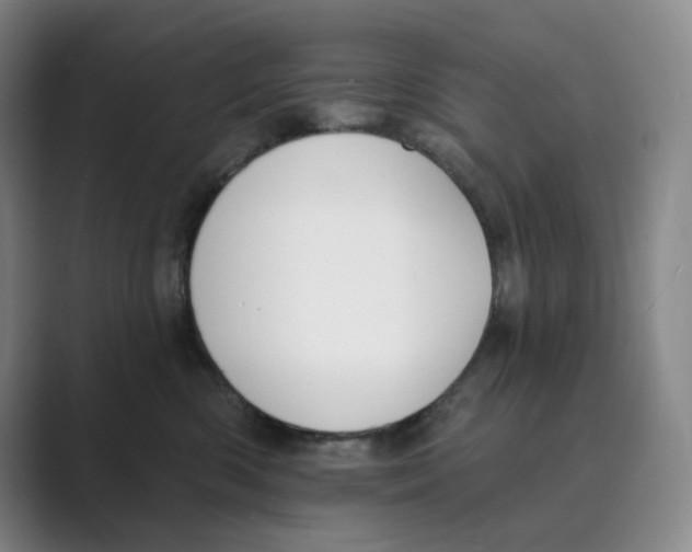 X0000088750426200706282209