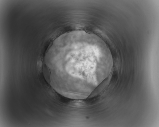 X0000088750427200706282209