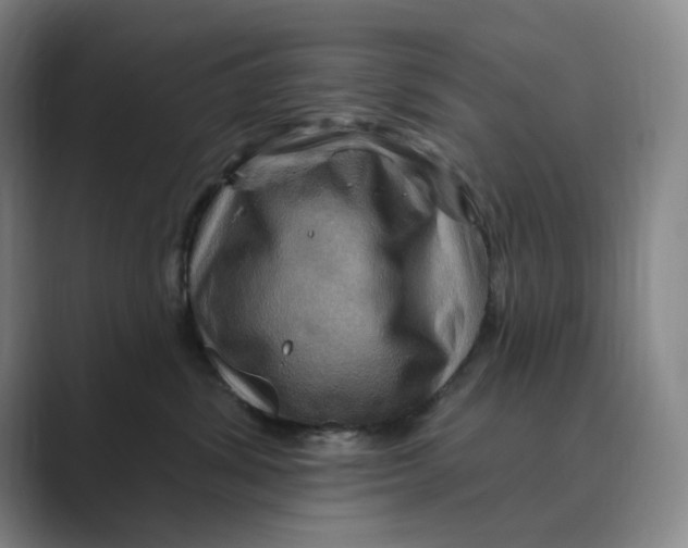 X0000088750428200706282209