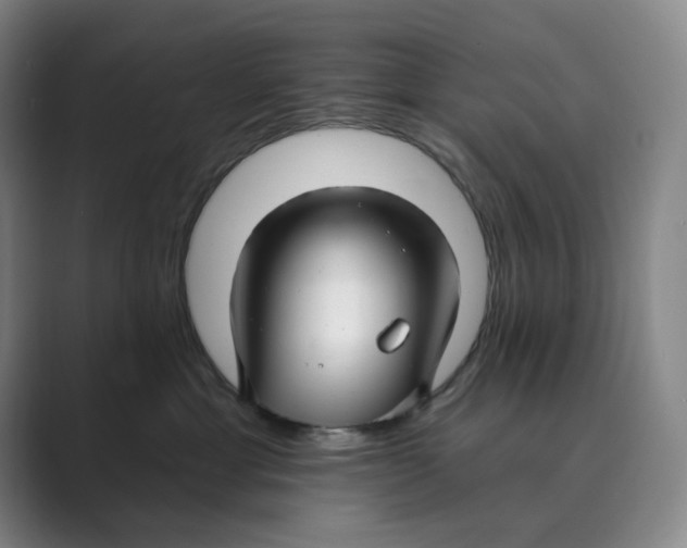 X0000088750429200706282209